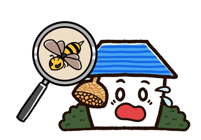 蜂を家に寄せ付けない方法や住み着いた場合の対処法を解説！